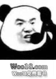 格鲁吉亚入欧盟进程已暂停