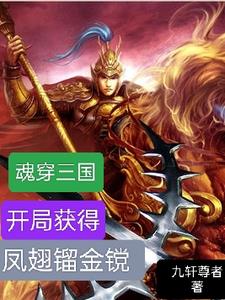 魂穿三国,开局获得,凤翅鎏金膛